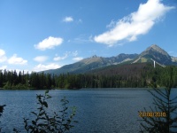 IMG_1381.jpg, 20kB